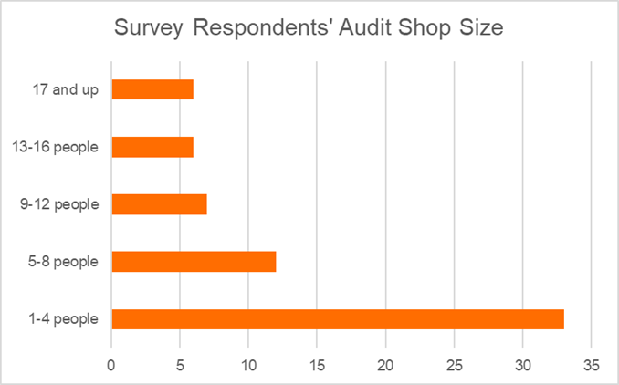 Chart of survey respondents' audit shop size